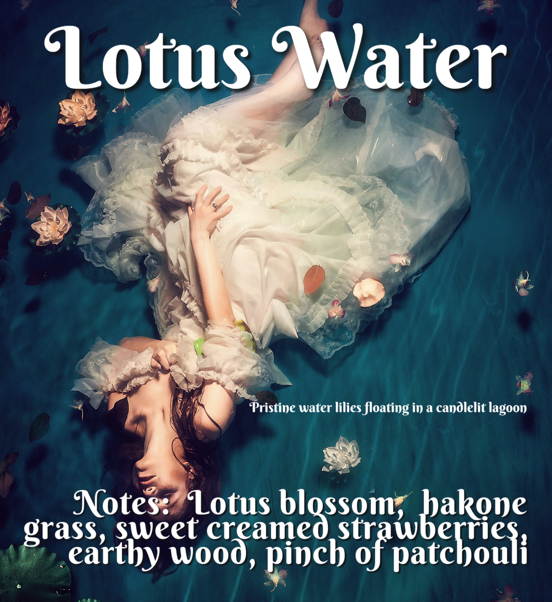Lotus Water
