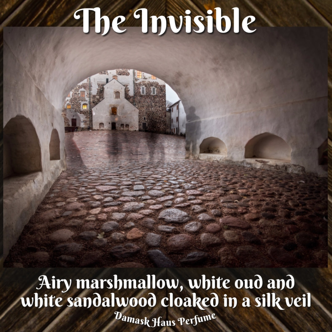 The Invisible